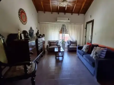 Antonio Alice 100