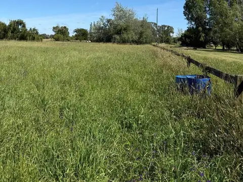 VENTA LOTE 15,000MTS ESTANCIA LAS LILAS - LUJAN