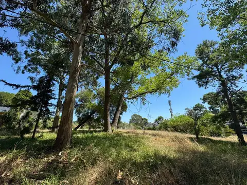 Terreno en Venta de 991,0 m2