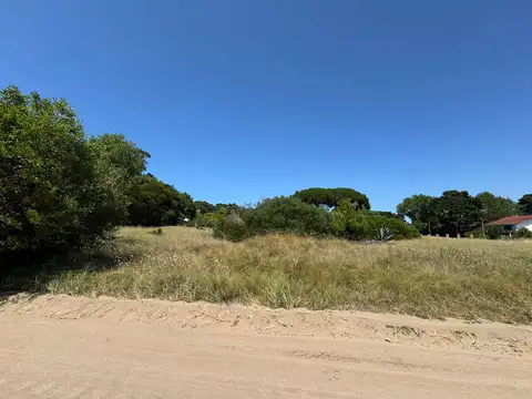 Terreno en Venta de 991,0 m2