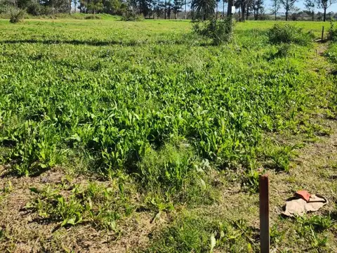 Terreno en Venta de 200,0 m2