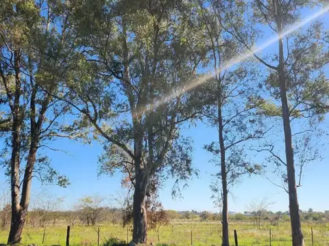 Loteo Merlo pesos escritura financiado