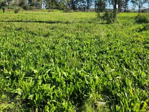 Terreno en Venta en Merlo, $ 6.500.000