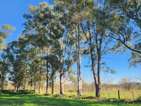 Terreno en Venta de 200,0 m2