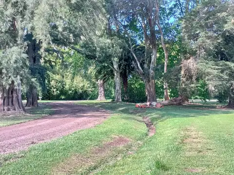 Gobernador Manuel Dorrego al 41