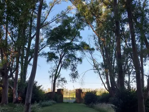 VENTA CAMPO VILLA RUIZ APTO RURAL O TURISMO