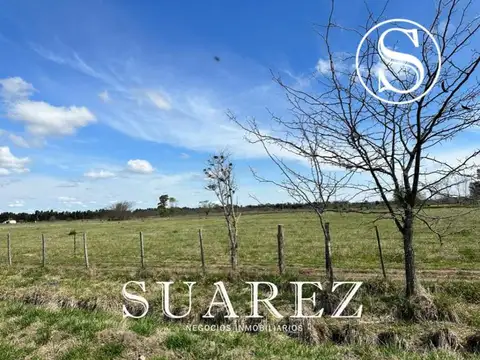 CHACRA DON LUIS, MERCEDES.