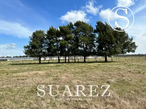 Lote De 1 Ha - Chacra Don Luis 1