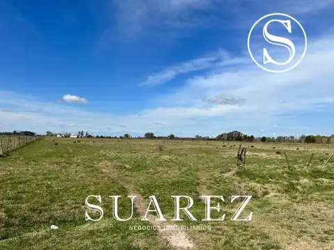 CHACRA DON LUIS, MERCEDES. 