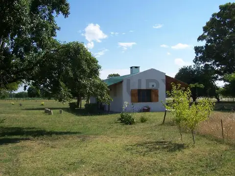 Leandro N. Alem 500, Piso 0