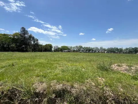 Terreno en Venta en Villa Carmela, USD 16.000