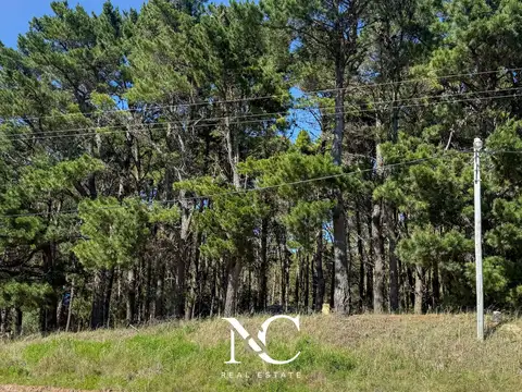 Terreno en Venta 30  mts Fondo