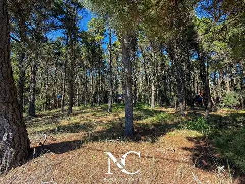 Terreno en Venta en Mar de las Pampas, USD 50.000
