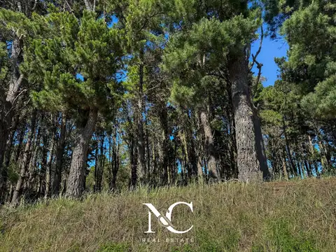 Terreno en Venta 20  mts Frente