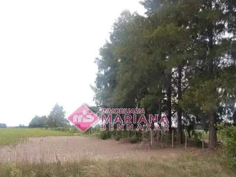 CAMPO EN VENTA - BARADERO