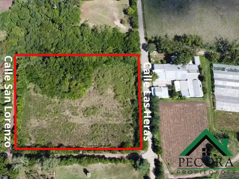 Campo 1,26 HA - Terreno - Escobar - Las Heras y San Lorenzo