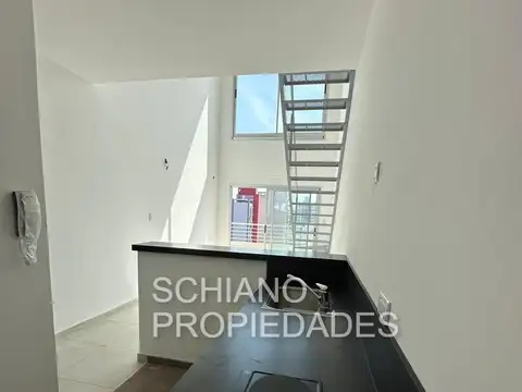 MATIENZO 100