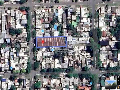 Larrea 3000