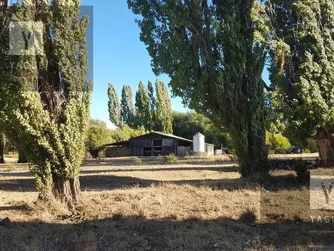 Campo - Rio Pico