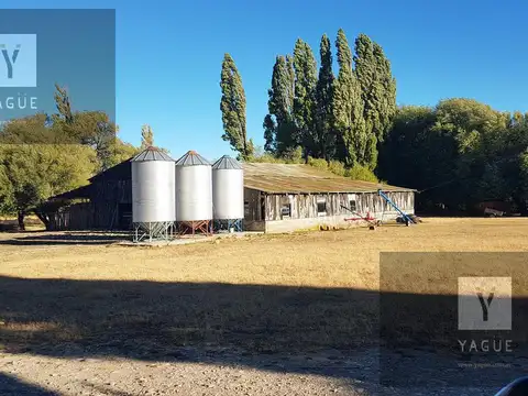 Campo - Rio Pico