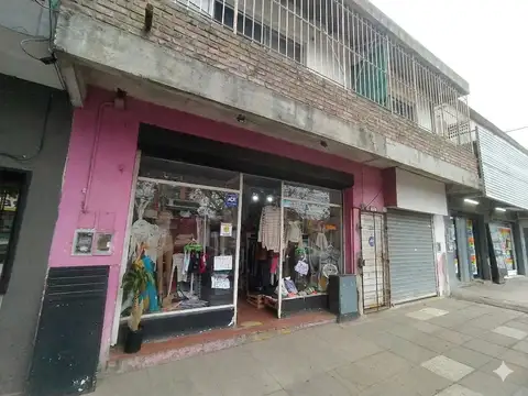 Venta dos locales, dos deptos y casa con patio y deposito Garin centro
