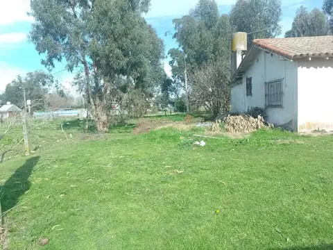 Casa en venta - 1 Dormitorio 1 Baño - 804mts2 - Mar del Plata