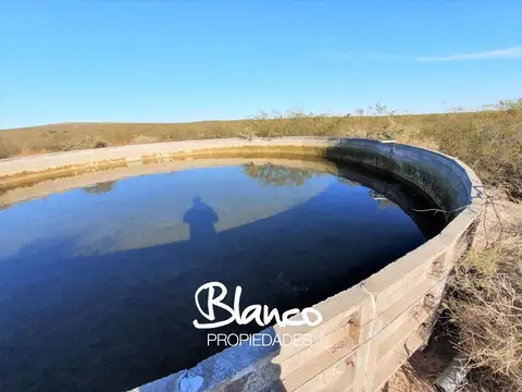 Campo en Alquiler en La Reforma, La Pampa - Campo Ganadero de 15.000 Hectáreas!