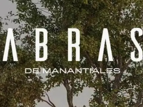 LOTE ABRAS DE MANANTIALES
