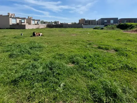 Terreno en Venta 42  mts Fondo