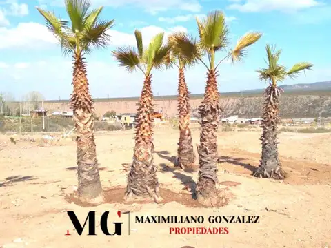 Terreno en Venta de 605,0 m2