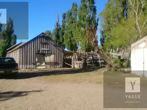 Campo en Esquel - 2.500 has - RN 40