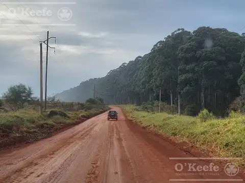 Campo en venta de 1017 has, Forestal mixto 80 % aprovechable,  Corrientes