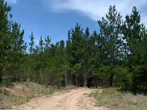 Terreno en Venta de 1032,0 m2