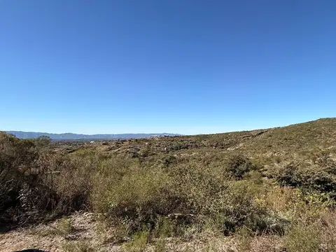 Romerillos