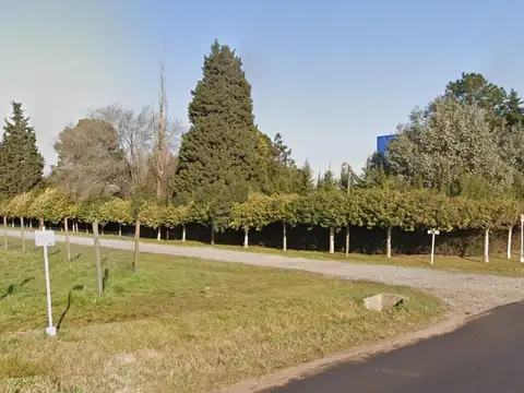 Terreno en Venta 75  mts Fondo