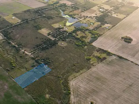 Terreno de Una Hectárea en El Ensueño - Los Aromos