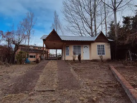 Francisco Mazzoni 100