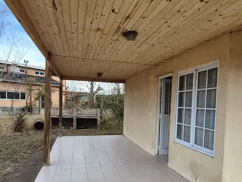 Francisco Mazzoni 100