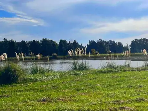 Terreno en Venta en Barrio Malvinas Brandsen