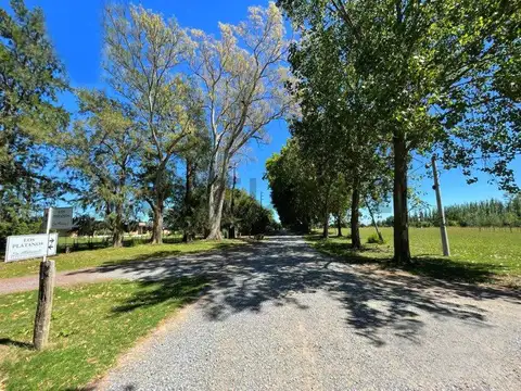 Ruta Nacional 215 - Km 54 100, Piso 0