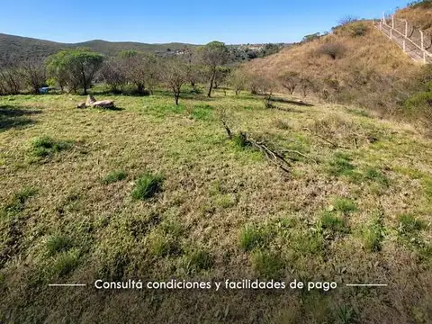 Lote en Venta en Colinas de La Deseada