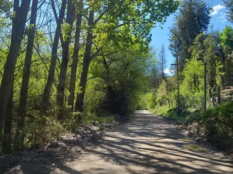 Lote arbolado Loma del Medio