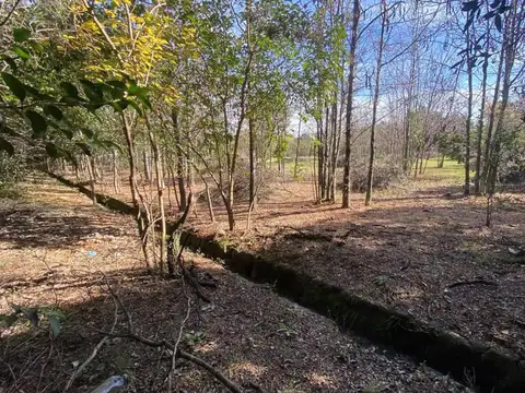 Terreno en Venta en Los Molles, USD 26.000