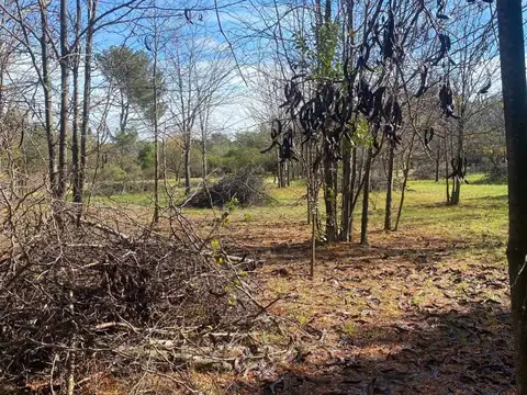 VENTA TERRENO 2.500 M2 CON ESCRITURA LOS MOLLES 