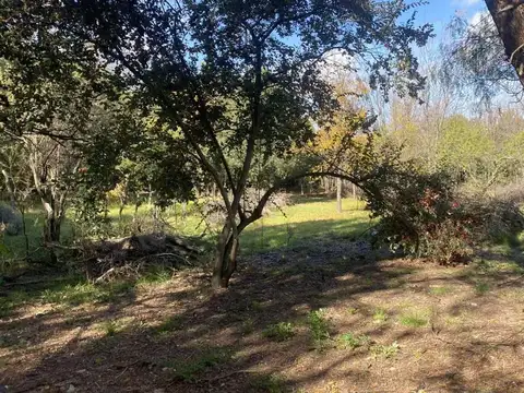 Terreno en Venta en Los Molles, San Javier