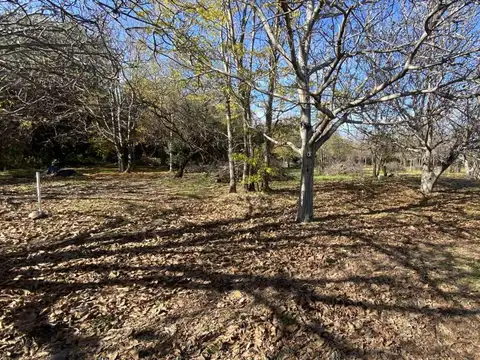 VENTA TERRENO 2.500 M2 CON ESCRITURA LOS MOLLES 