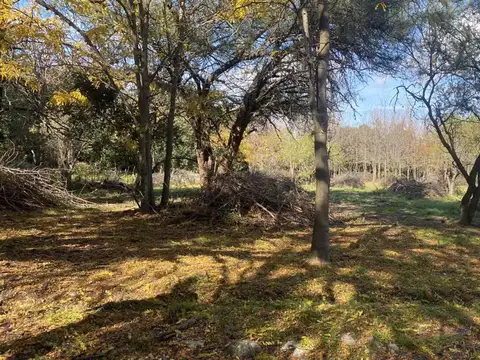 Terreno en Venta de 2550,0 m2