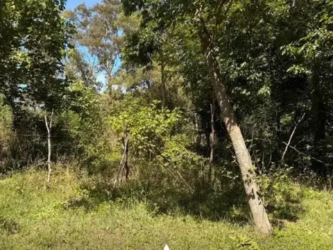 TERRENO EN VENTA, BARRIO MONTEVERDE, LOS CARDALES