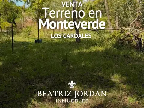 TERRENO EN VENTA, BARRIO MONTEVERDE, LOS CARDALES