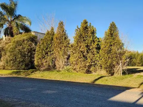 Altos de Manzanares